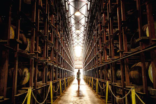 Appleton Rum, YS Falls & Pelican Bar Private Tour