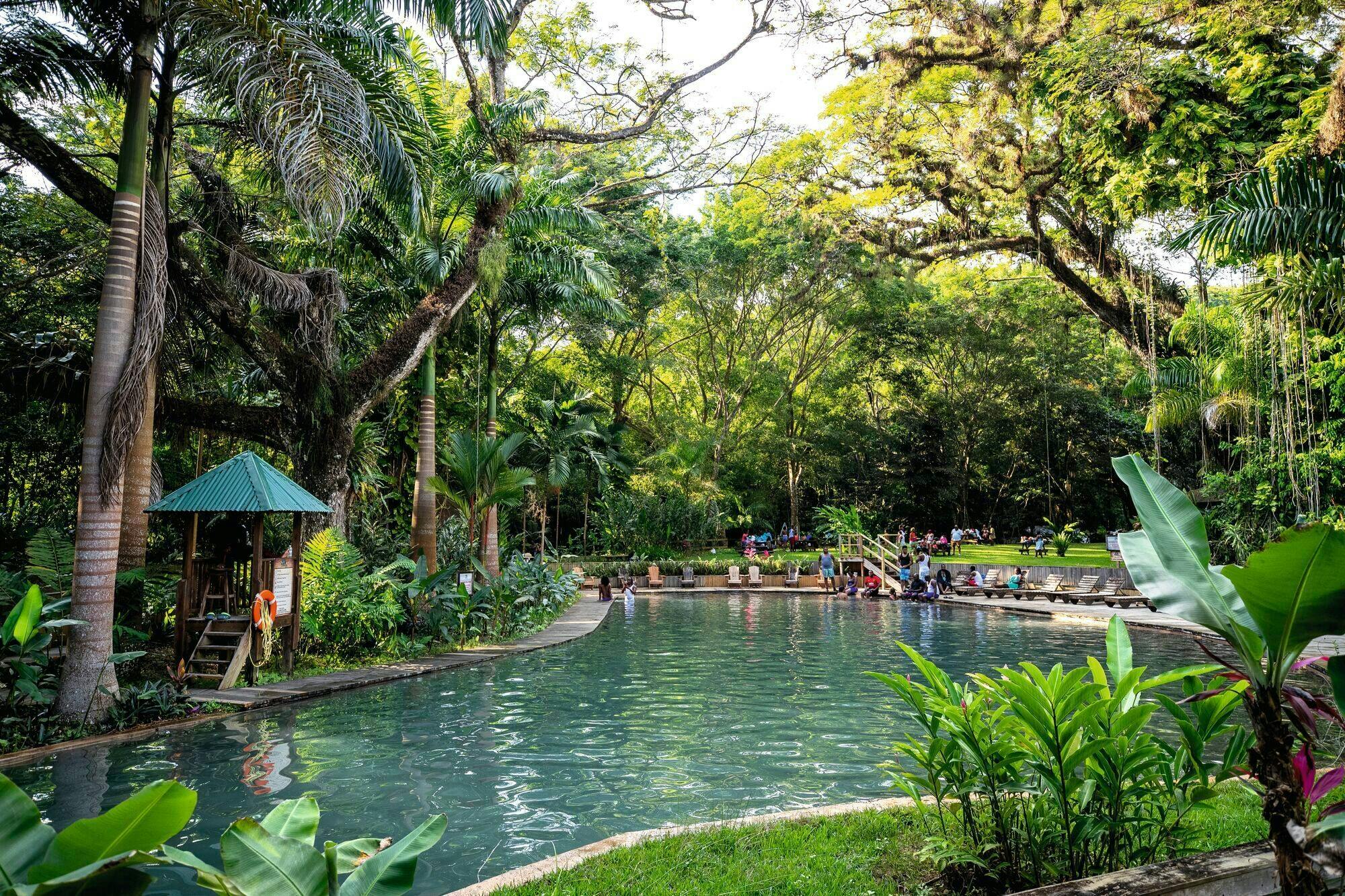 Appleton Rum, YS Falls & Pelican Bar Private Tour