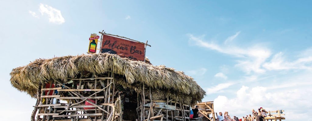 Appleton Rum, YS Falls and Pelican Bar private tour