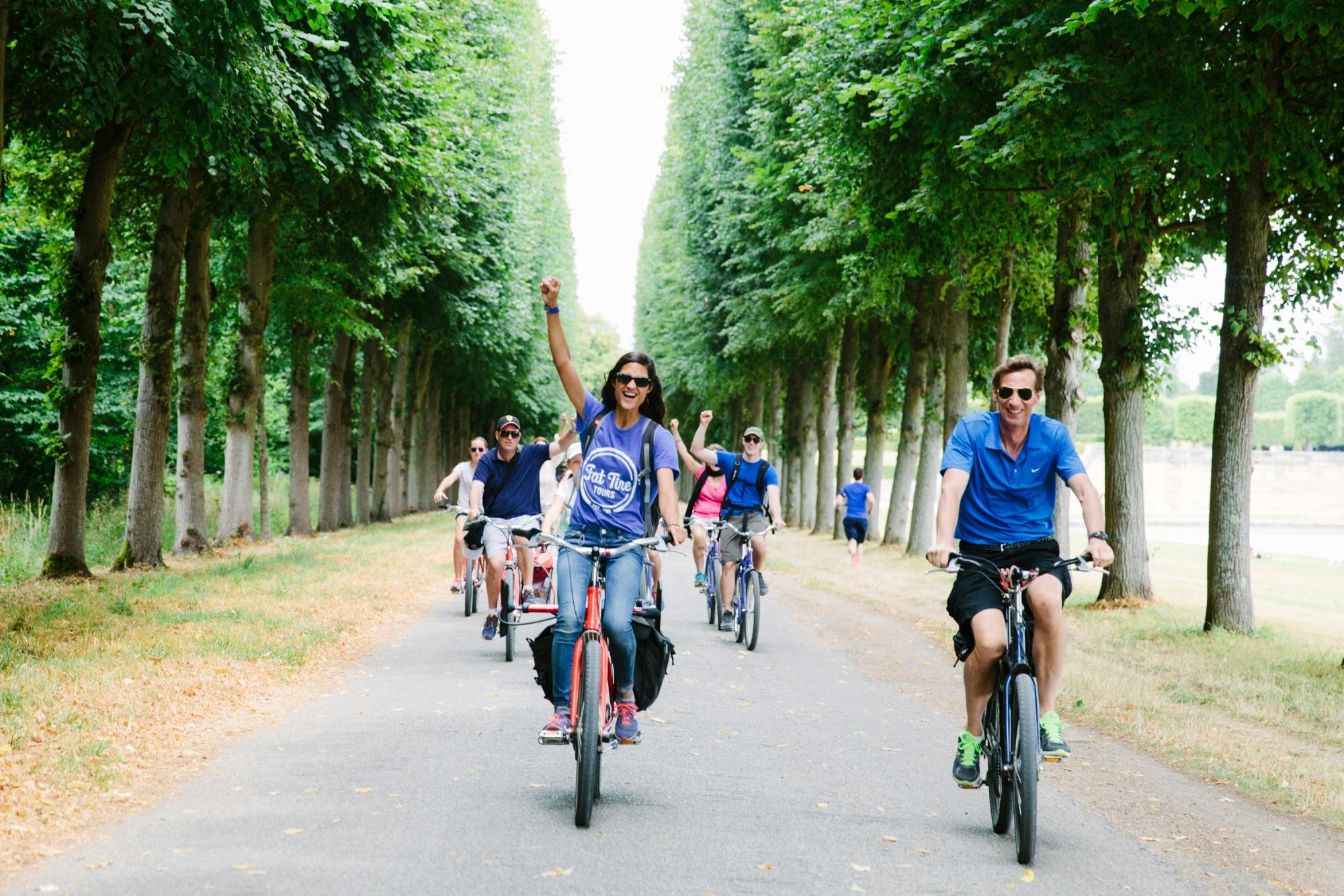 Tour di mezza giornata in bicicletta di Versailles con visita del palazzo e dell'Amleto