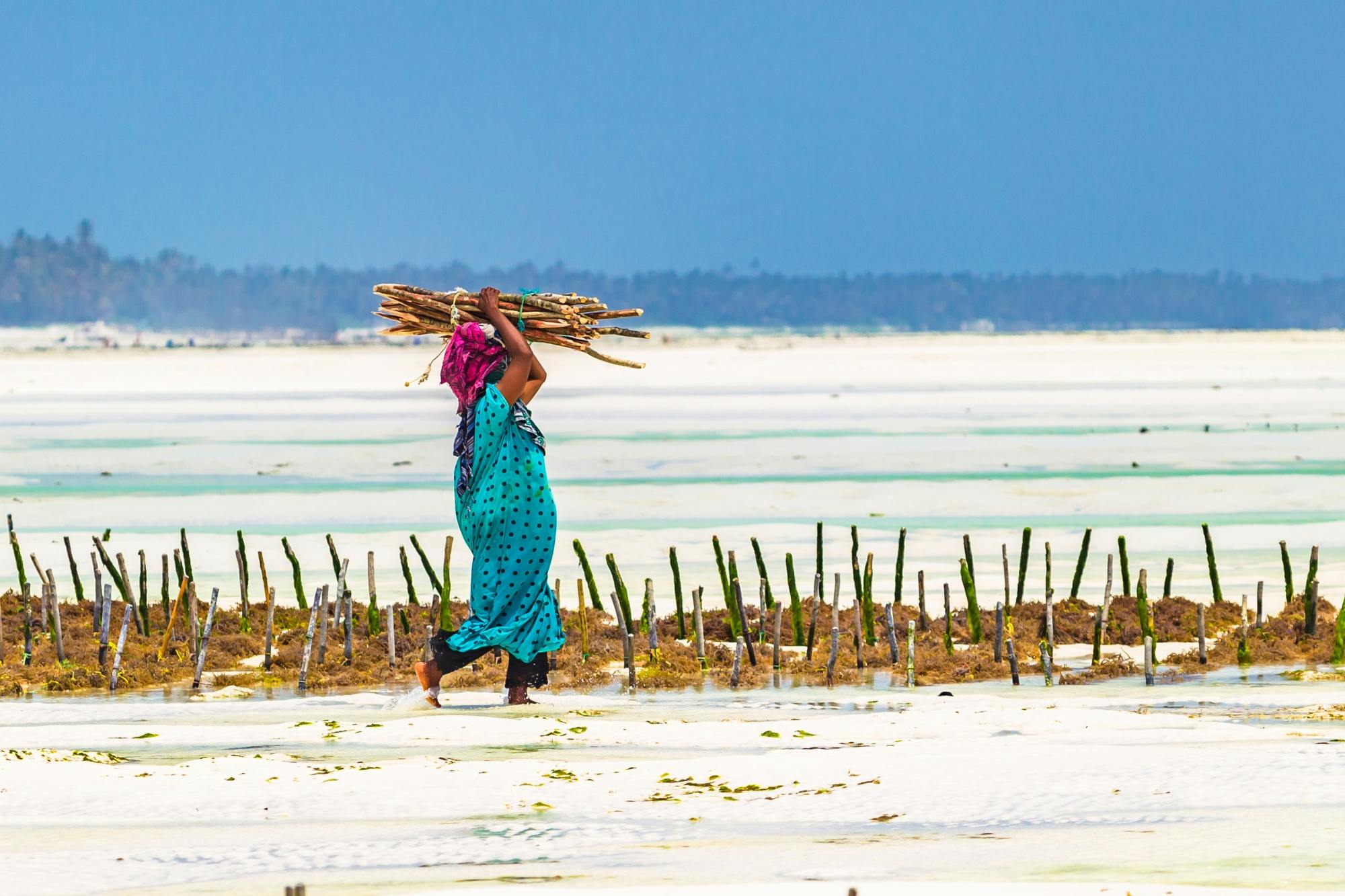 Privétour door de mensen en cultuur van Zanzibar