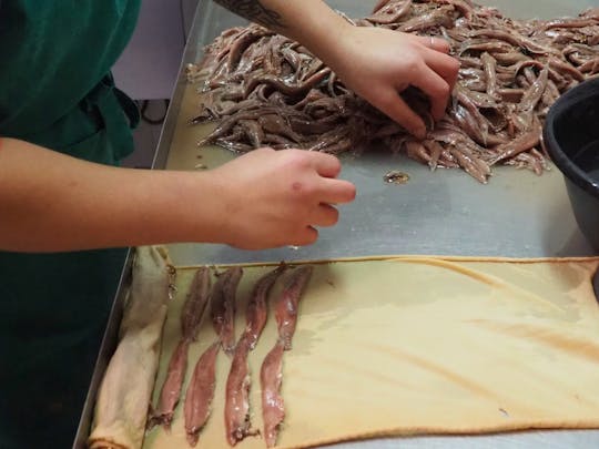 Excursão guiada de meio dia pela fábrica de conservas de Santoña e anchova com passeio de barco