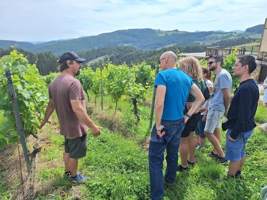 Cantabria and Valles Pasiegos guided tour with tasting from Santander