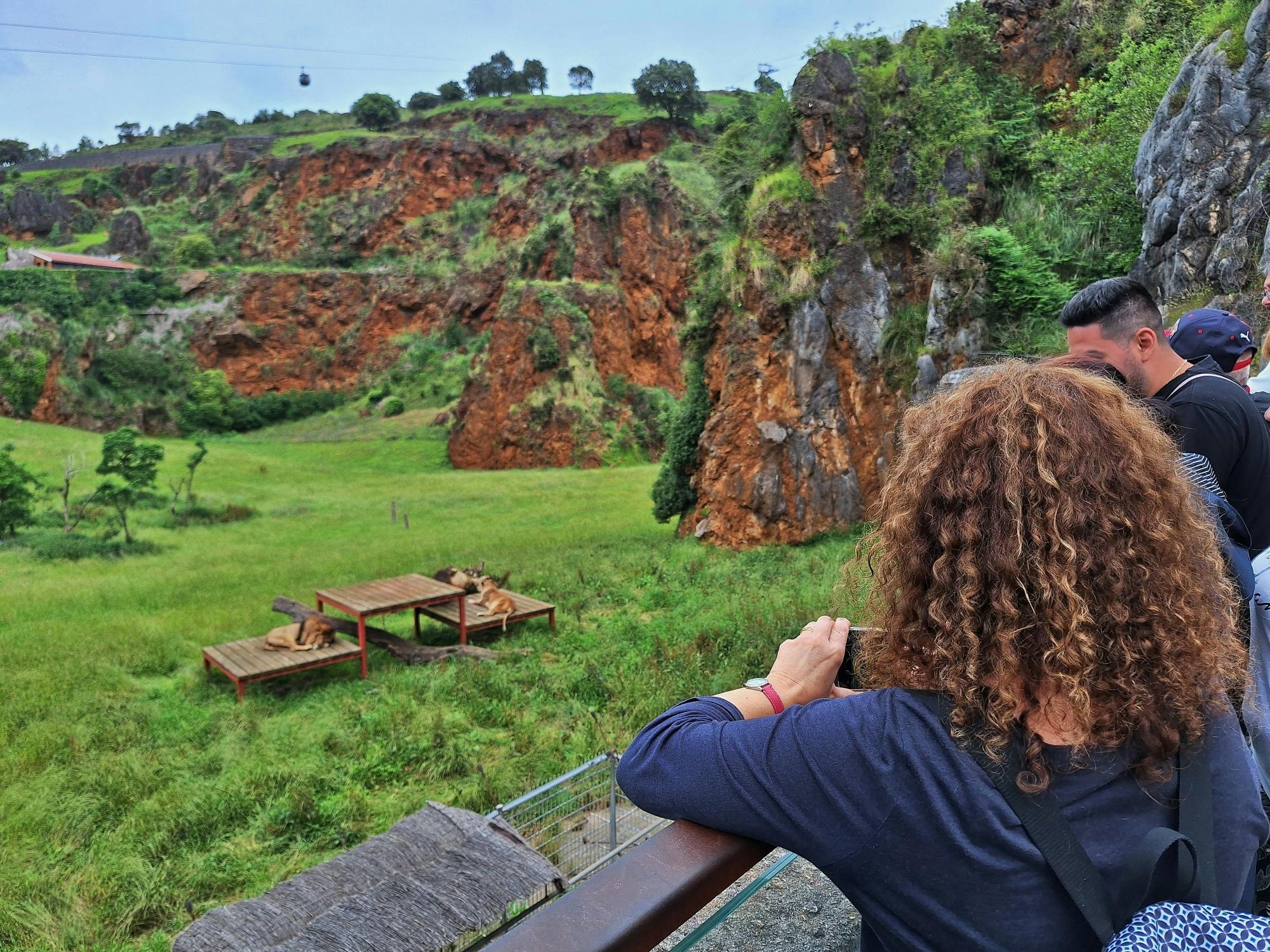 Cabárceno Natural Park tickets and guided tour from Santander