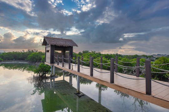 Mangrove 1 uur privé kajakken in Al Thakira Reserve