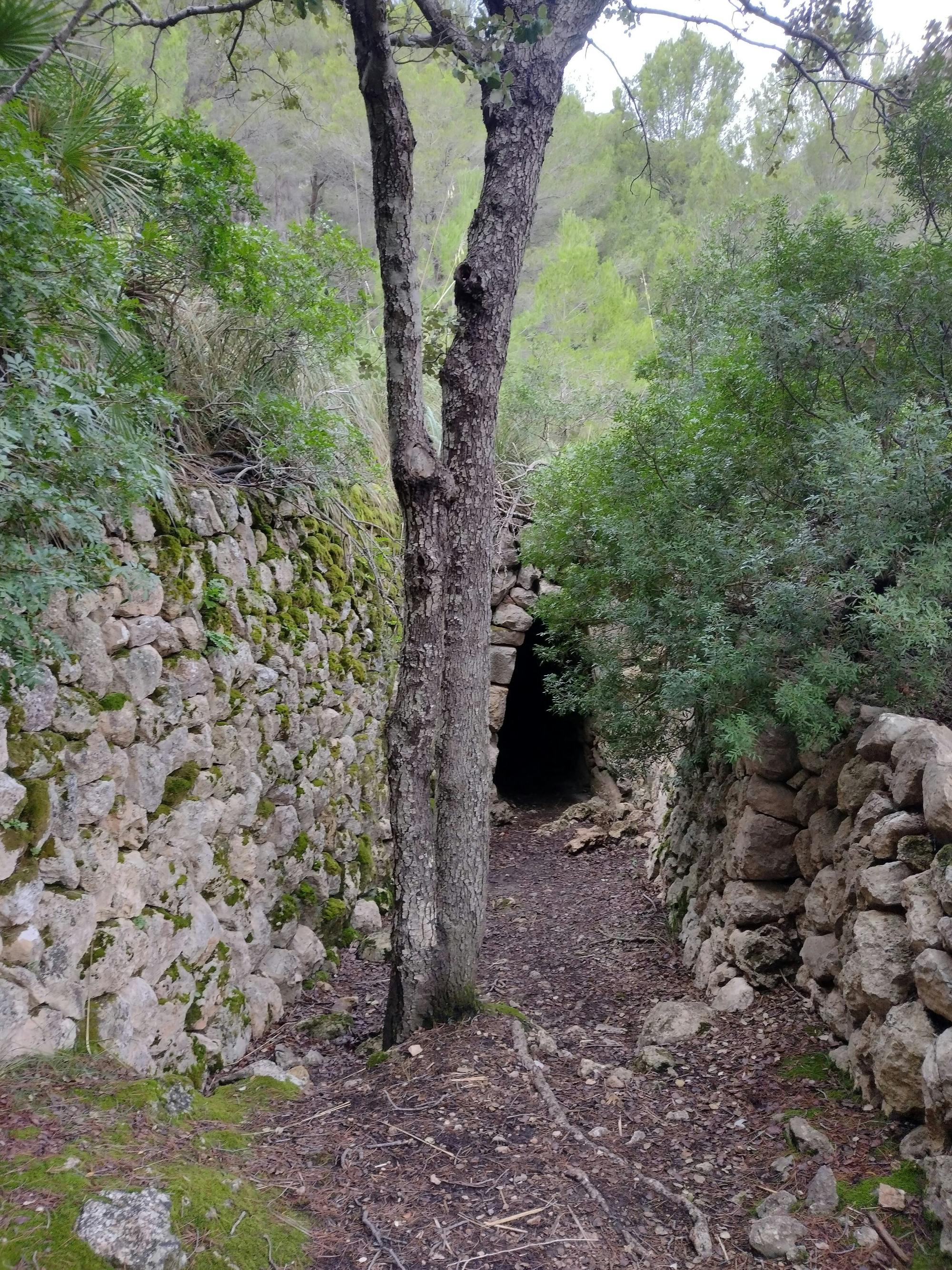 Geführte Wanderung durch die historischen Stätten der Serra de Tramuntana mit Eco Island Adventure