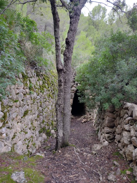 Geführte Wanderung durch die historischen Stätten der Serra de Tramuntana mit Eco Island Adventure