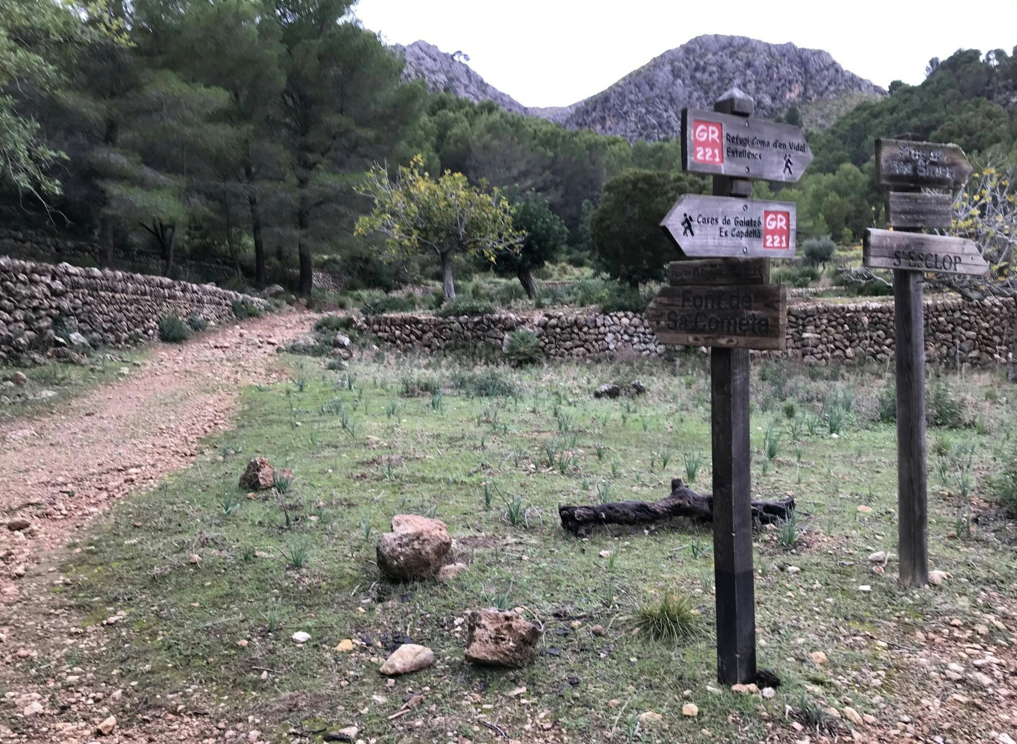 Guided hiking through Serra de Tramuntana’s historical sites with Eco Island Adventure