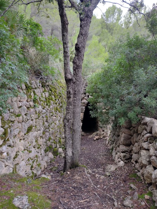 Wandeling met gids langs de historische plekken van Serra de Tramuntana, met lunch