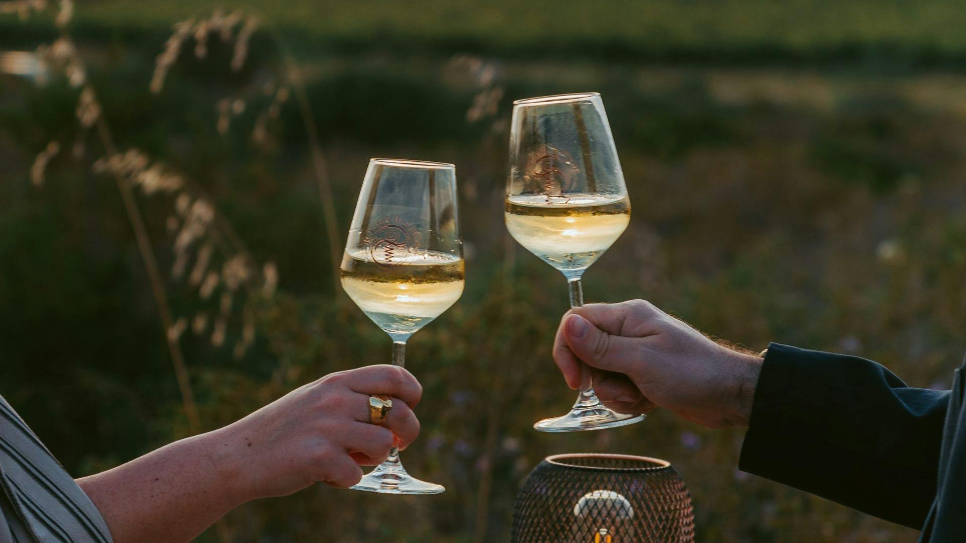 Vineyard with Wine Tasting at Sunset from Castelsardo