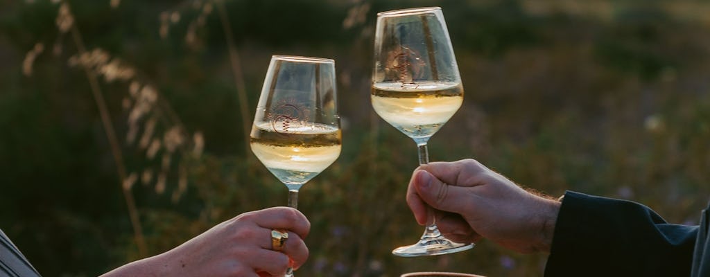 Vigneto con Degustazione Vini al Tramonto da Castelsardo