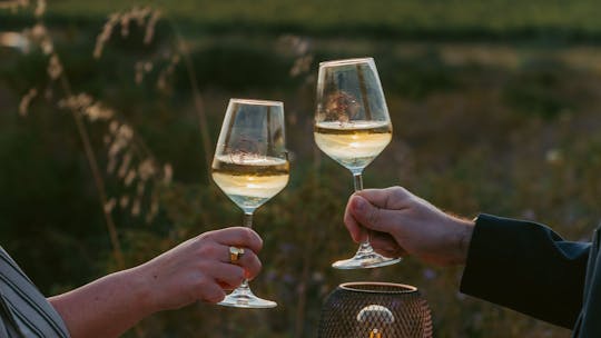 Weinberg mit Weinprobe bei Sonnenuntergang von Castelsardo