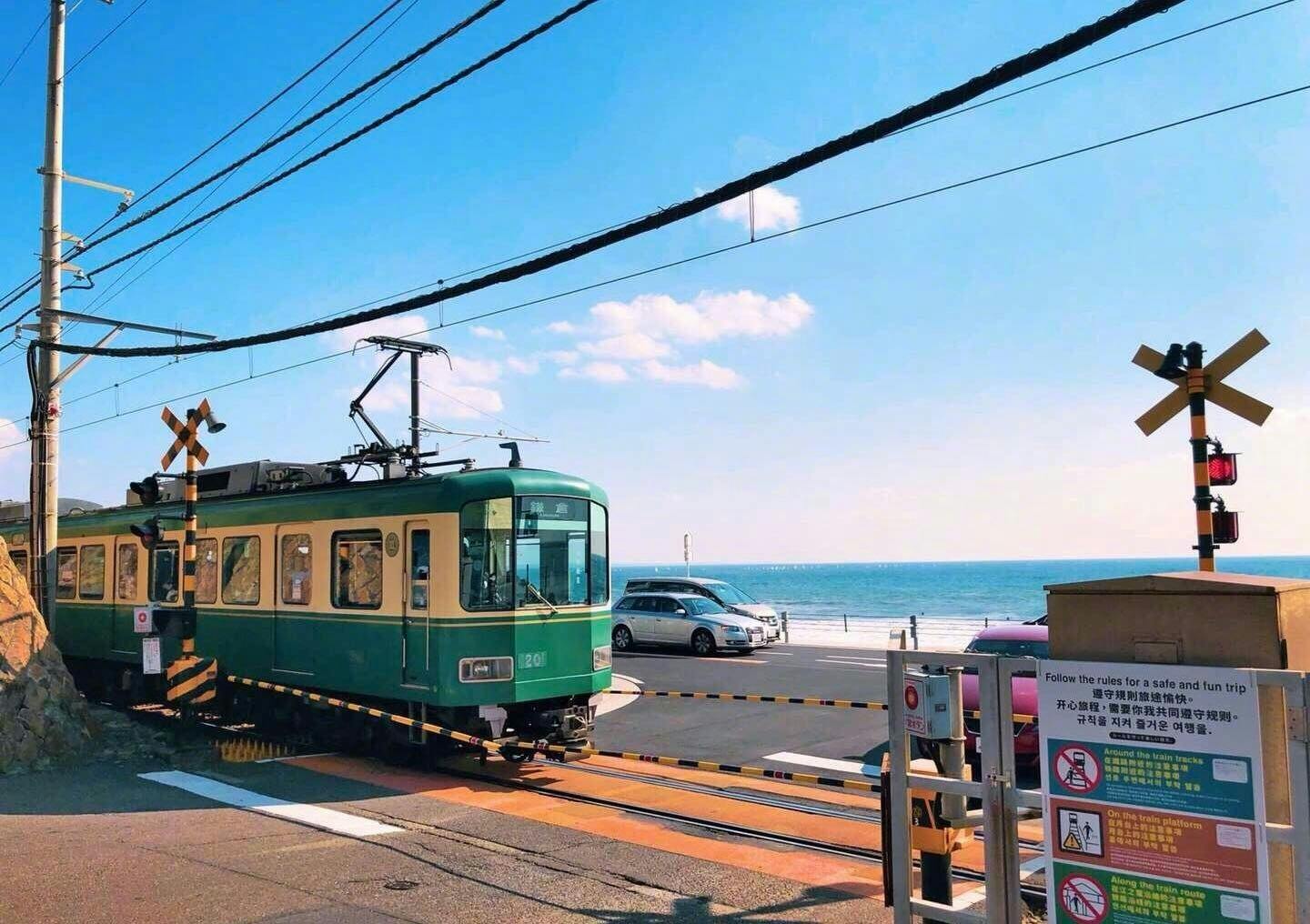 Tokyo Bus Tour to Kamakura Great Buddha and Enoshima with Pickup