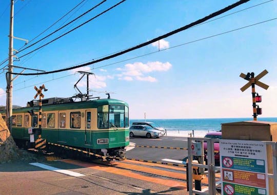 Tokyo Bus Tour to Kamakura Great Buddha and Enoshima with Pickup