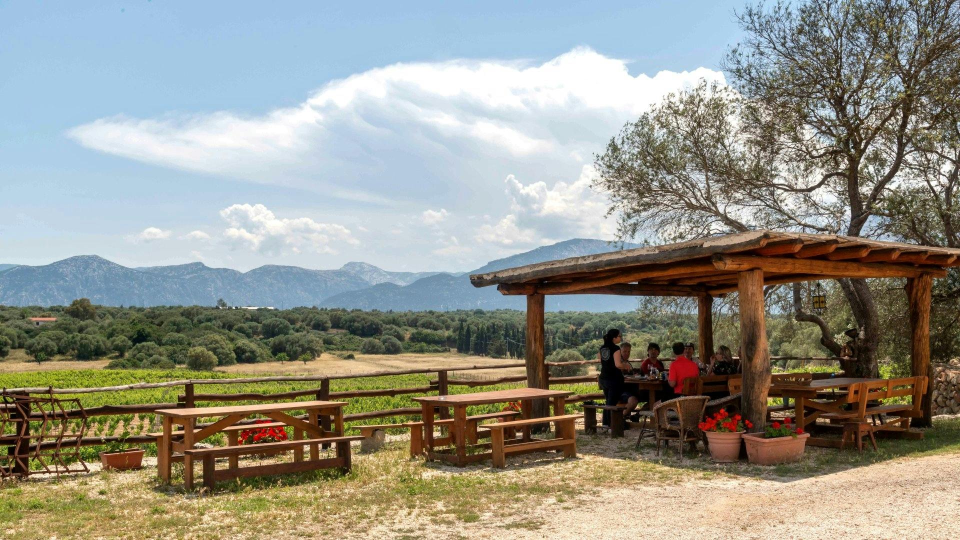 Weingut mit Verkostung in Dorgali