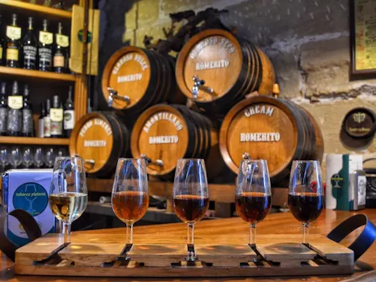 Passeio pelo centro histórico de Jerez e degustação de 2 vinhos de Jerez