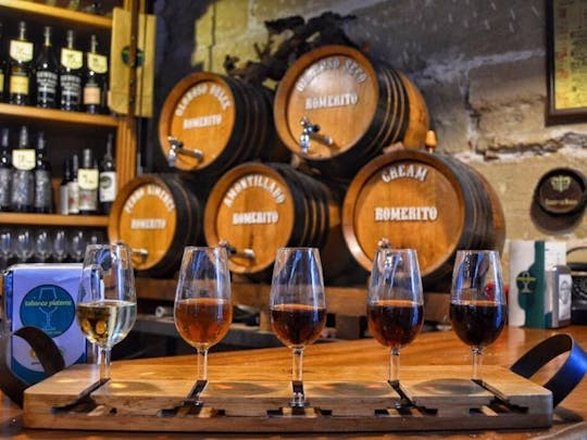 Jerez historic centre tour and tasting of 2 sherry wines