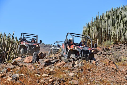 Supercat Premium Katamaranfahrt und Offroad Buggy-Tour