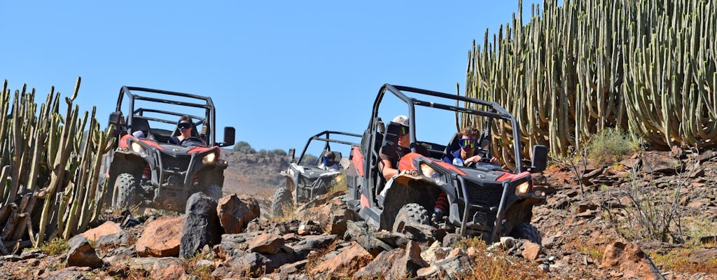 Cruzeiro de catamarã Supercat Premium e passeio de buggy off-road