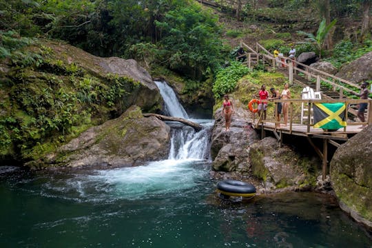 Excursión a una finca cafetera por las Montañas Azules de Jamaica con brunch