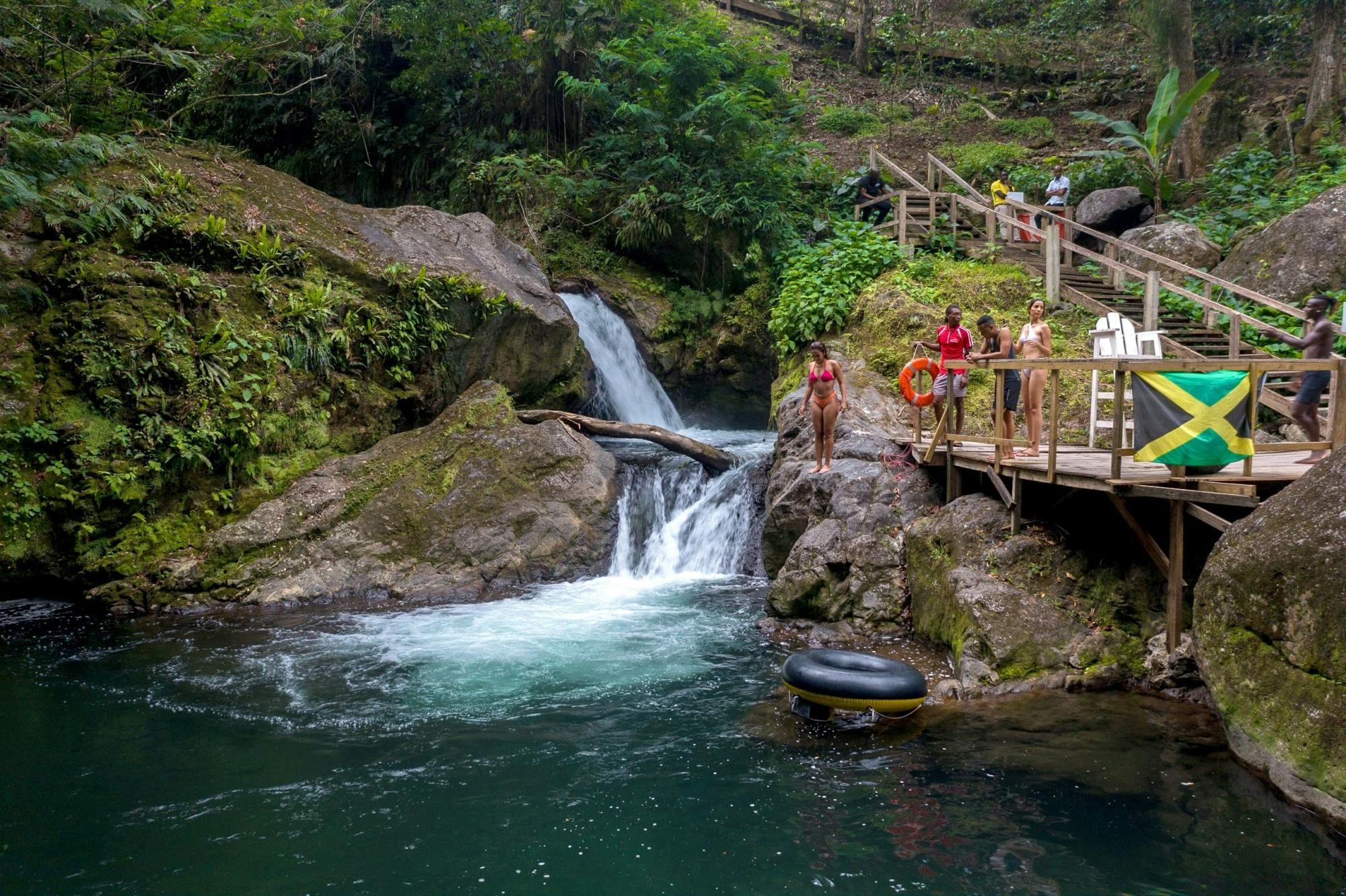 Randonnée dans une ferme de café à travers les Blue Mountains de la Jamaïque avec brunch