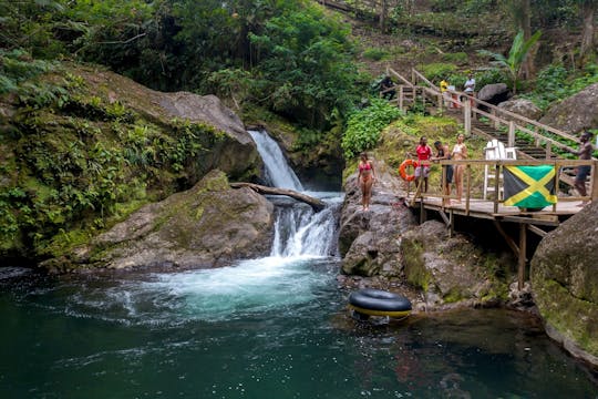 Randonnée dans une ferme de café à travers les Blue Mountains de la Jamaïque avec brunch