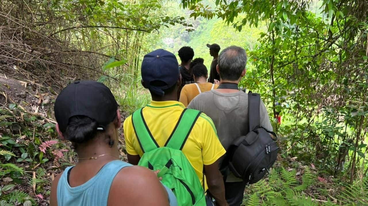 Coffee farm hike through Jamaica’s Blue Mountains with brunch