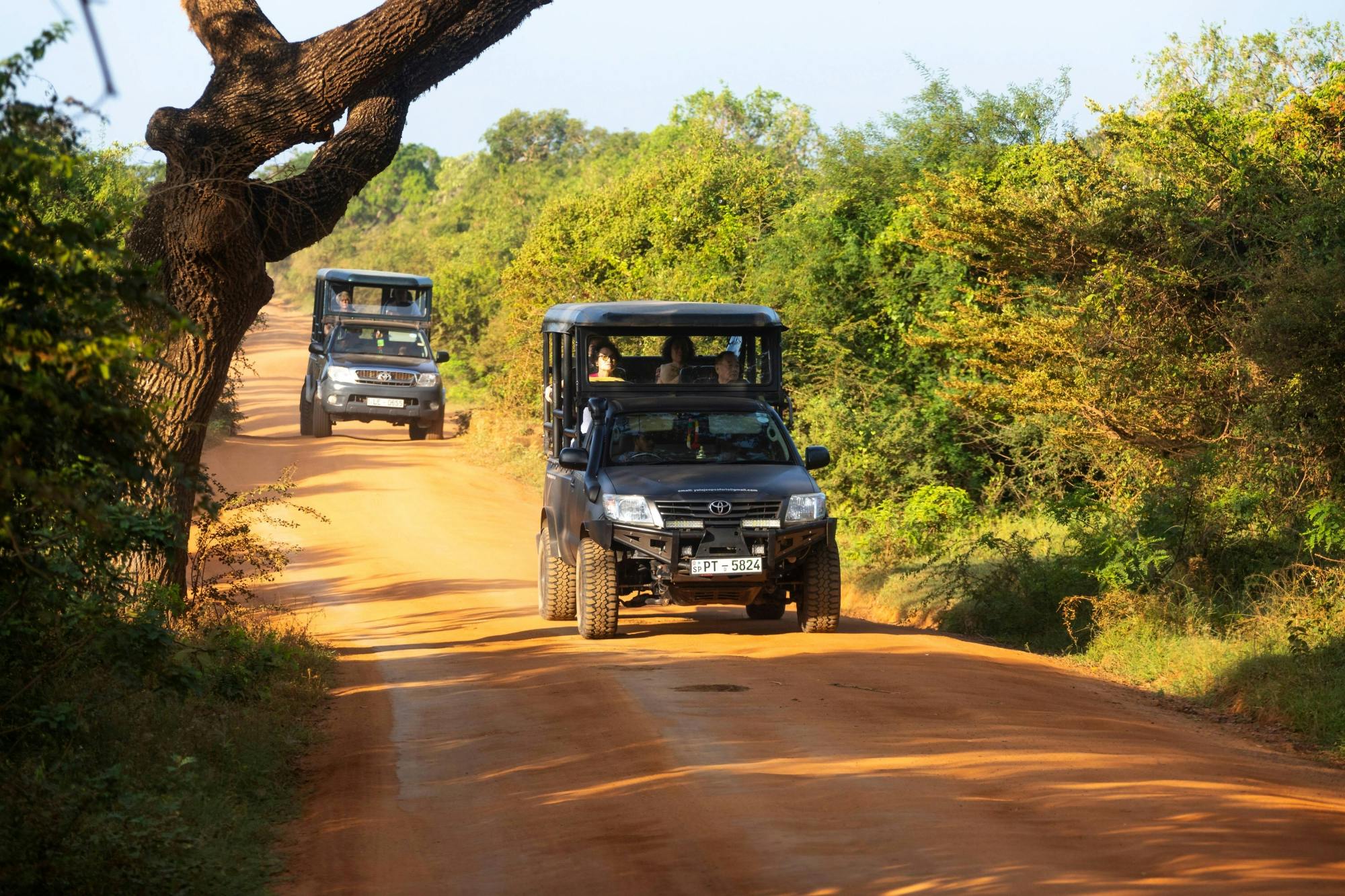 Safari 4x4 no Parque Nacional de Yala com um guia local