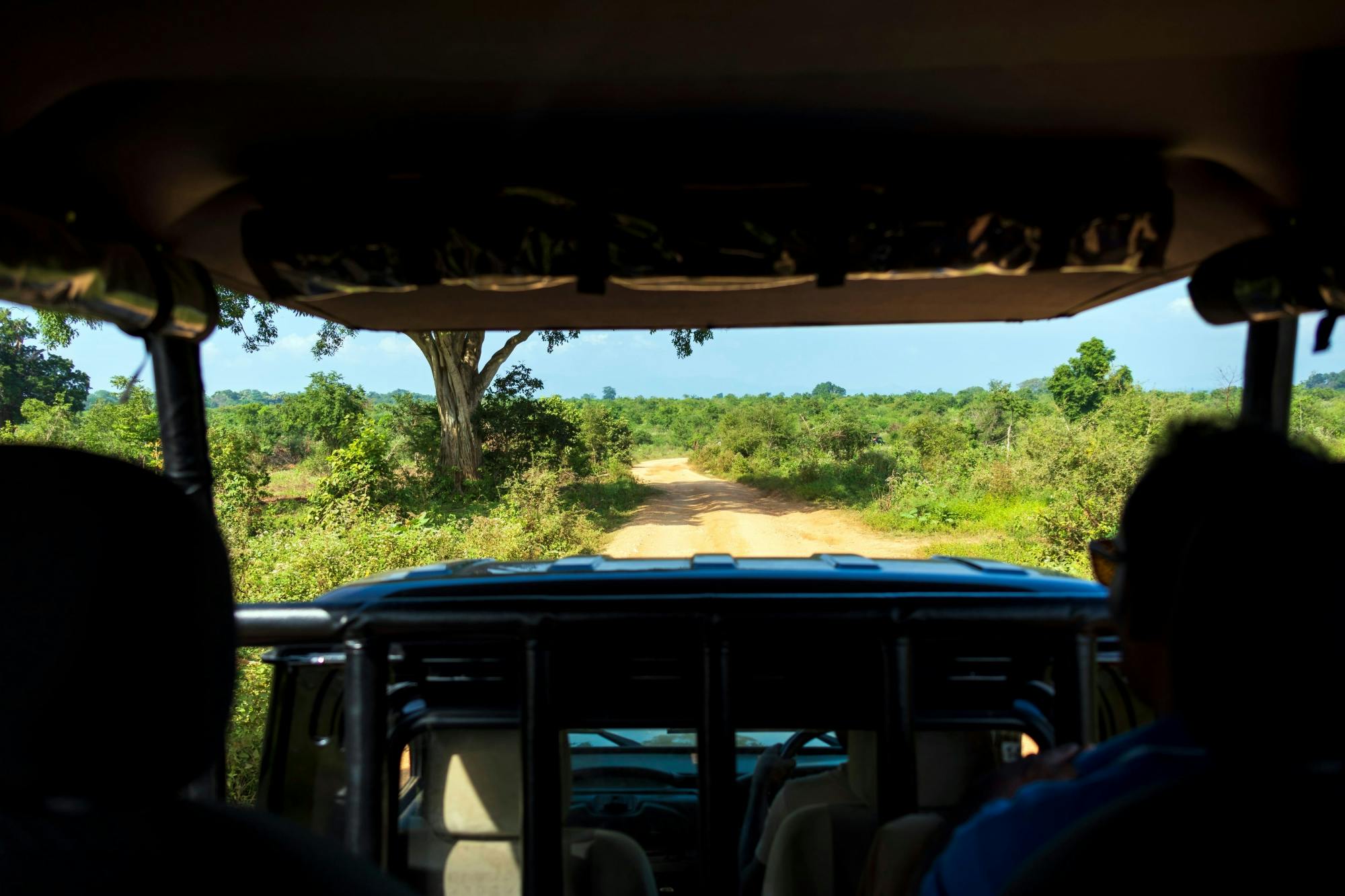 Udawalawe National Park 4x4 Safari with Elephant Transit Home