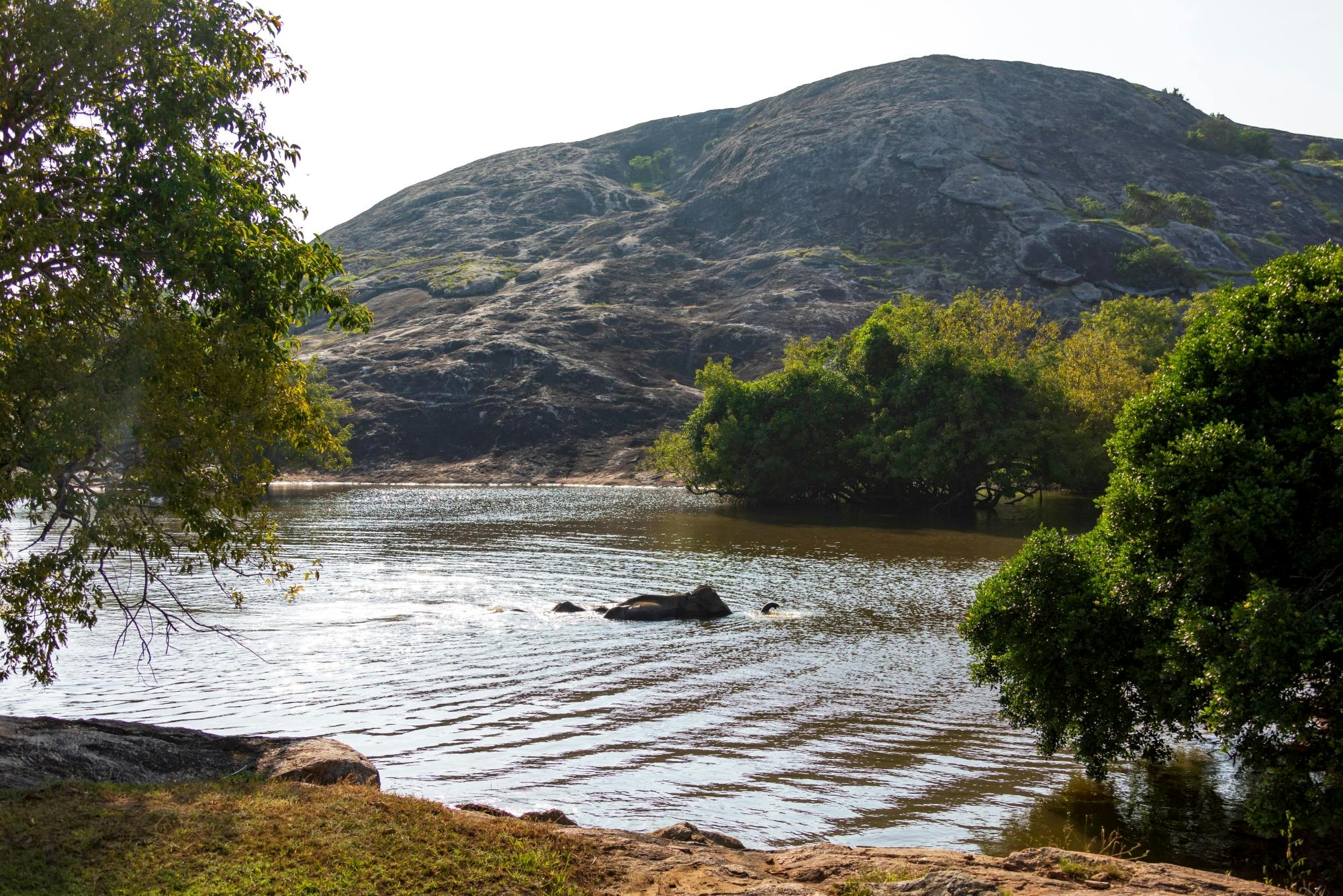 Yala National Park 4x4 Safari with a Local Guide