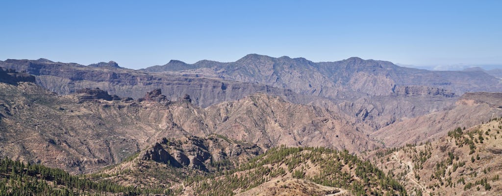 Gran Canaria Inland tour with local lunch and winery visit