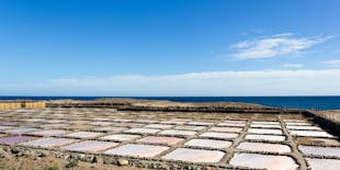 Gran Canaria food tour with distillery visit and local lunch