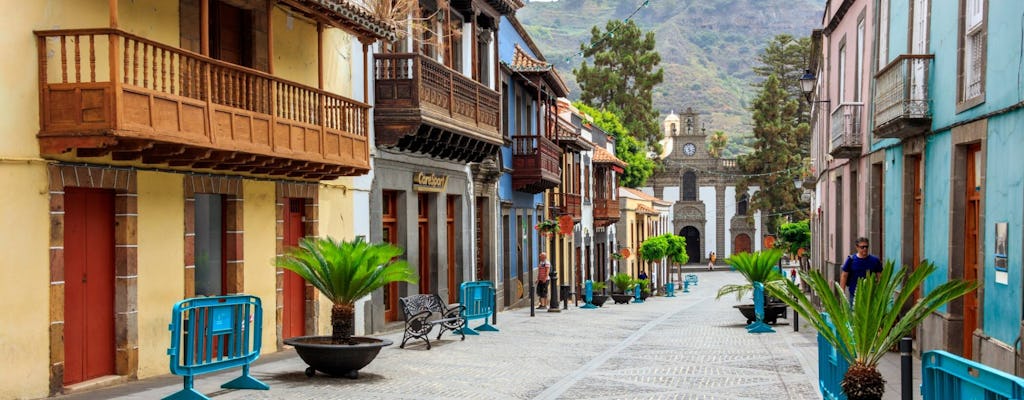 Island tour of Gran Canaria including typical lunch