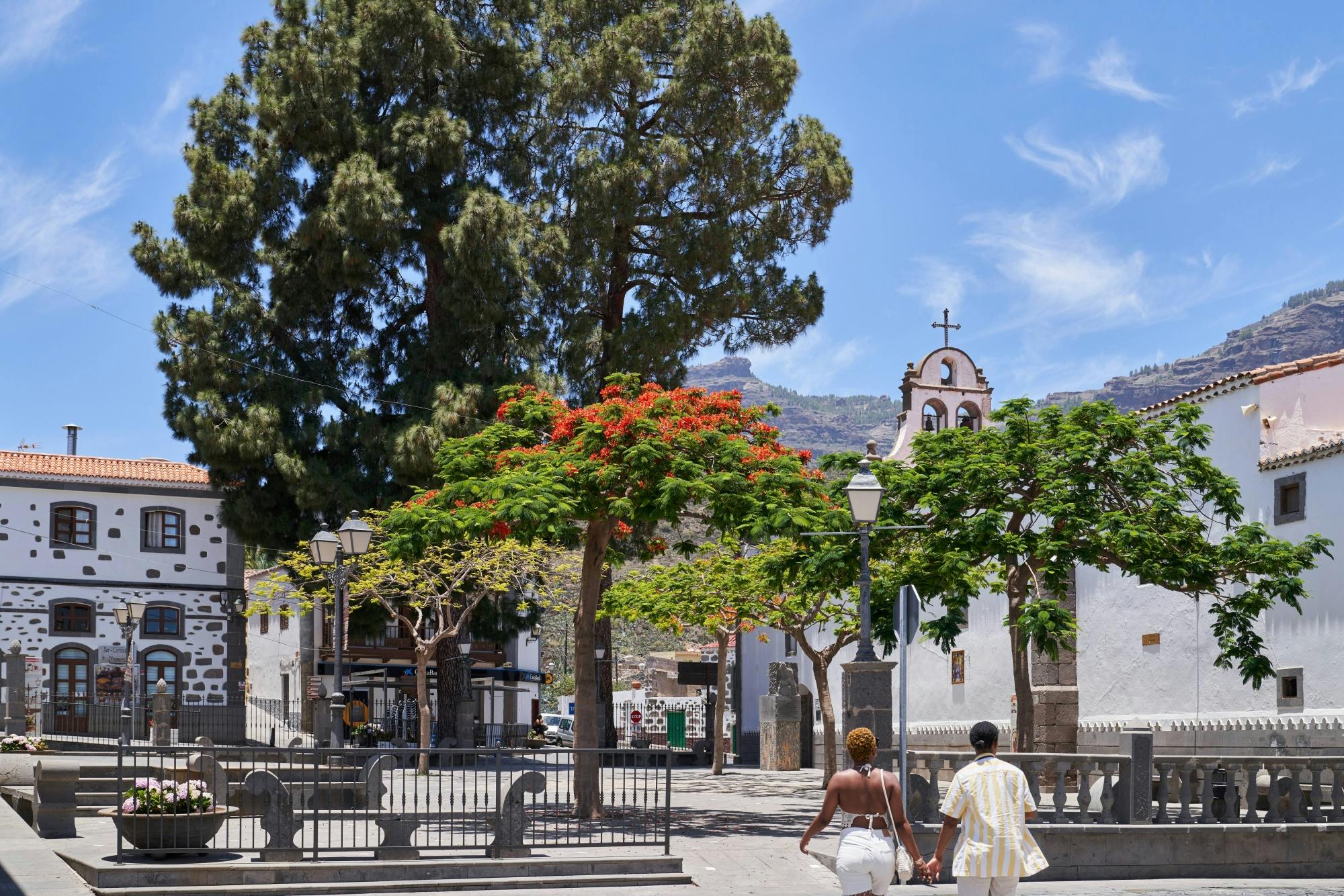 Island Tour of Gran Canaria including Typical Lunch