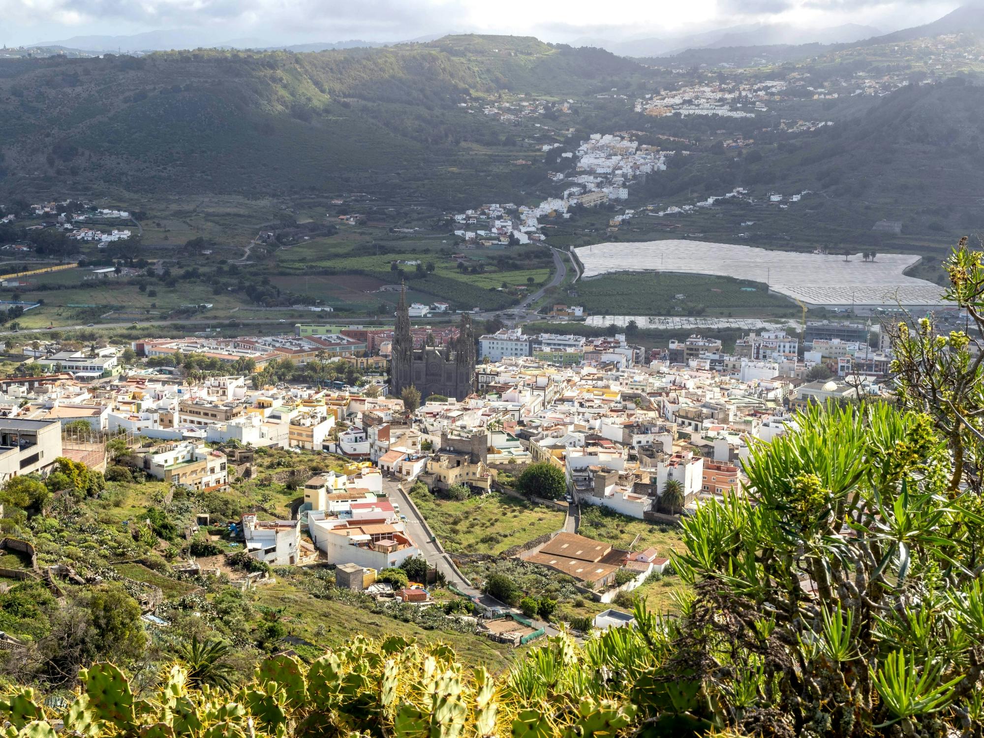 Gran Canaria Food Tour with Distillery Visit and Lunch