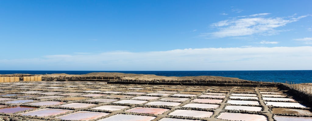 Gran Canaria mattur med destilleribesök och lokal lunch