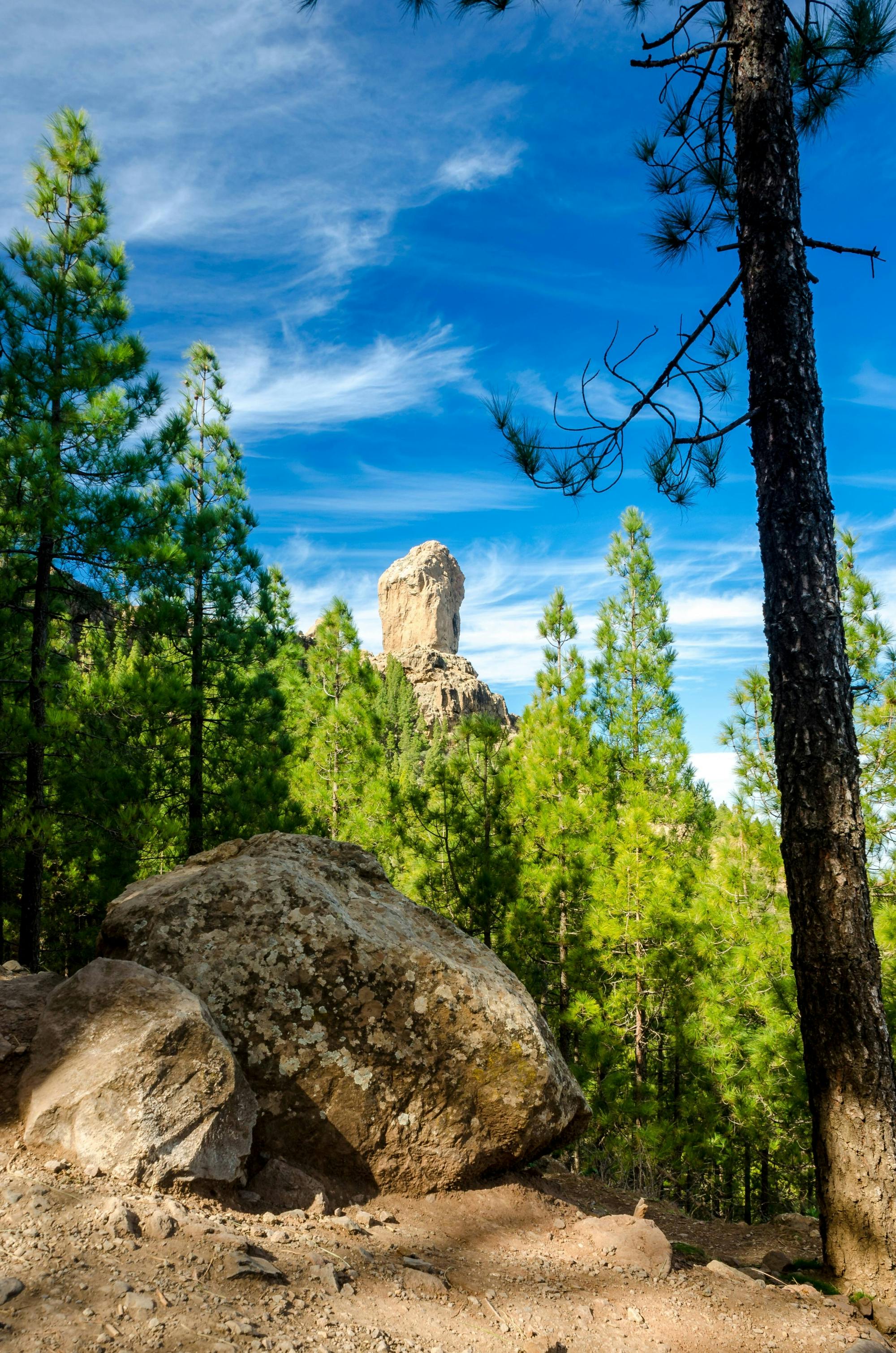 Passeggiata di Roque Nublo con tapas nel villaggio di Fataga