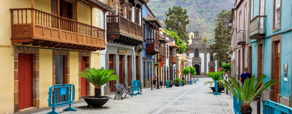 Island tour of Gran Canaria including typical lunch