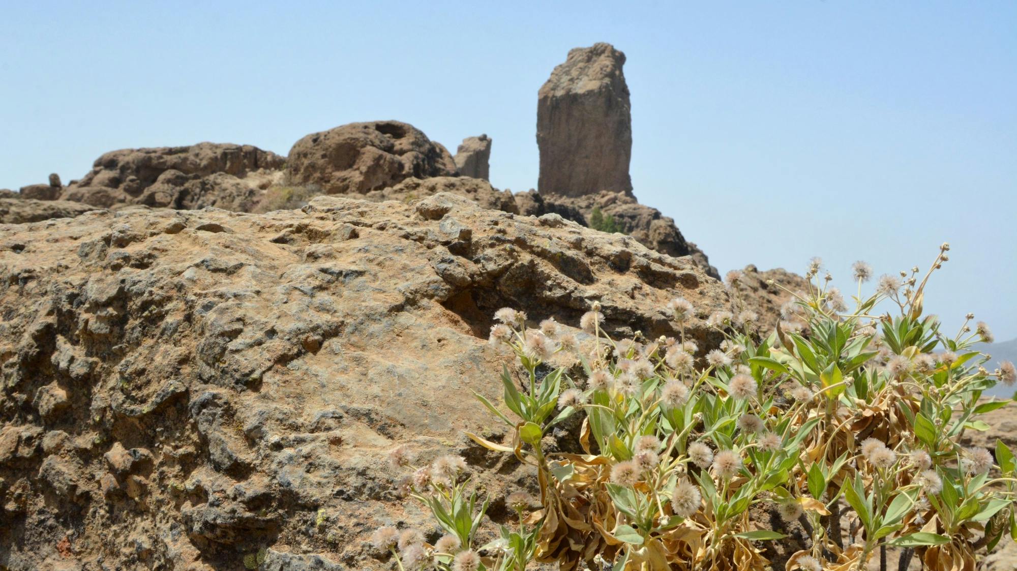 Roque Nublo Walk with Tapas in Fataga Village