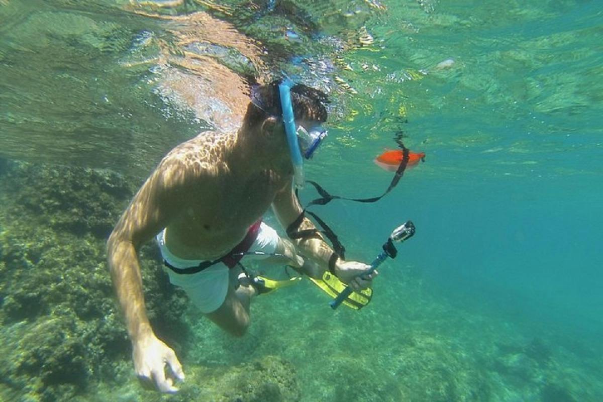 Rando-Palmée-Ausflug rund um eine Insel