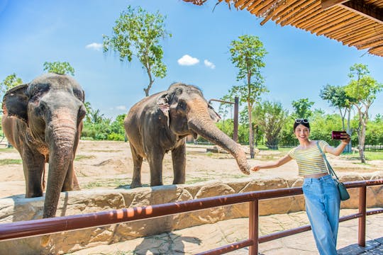 Hoi An River Safari z kolacją przy świecach na plaży