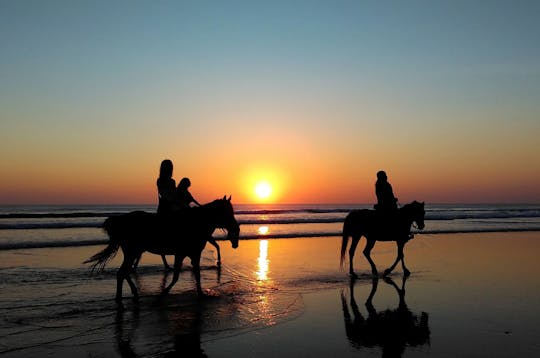 Aventure à cheval à Agadir