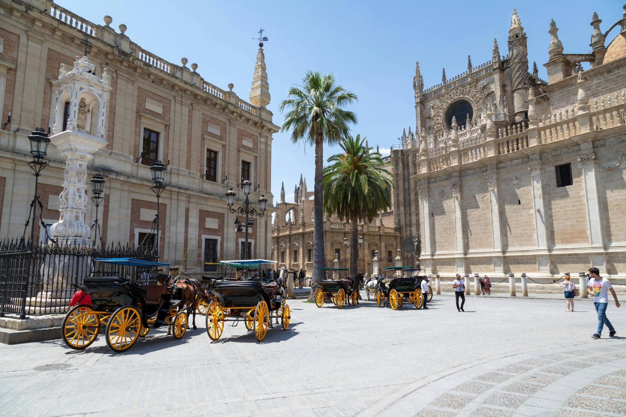 Sevilla Tour with Cathedral Visit from Nerja Area