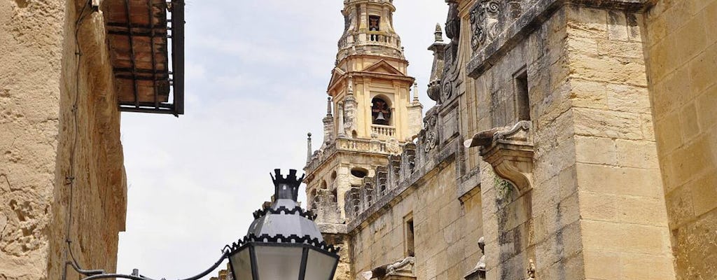 Cordoba Tour mit Moscheebesuch von Nerja aus