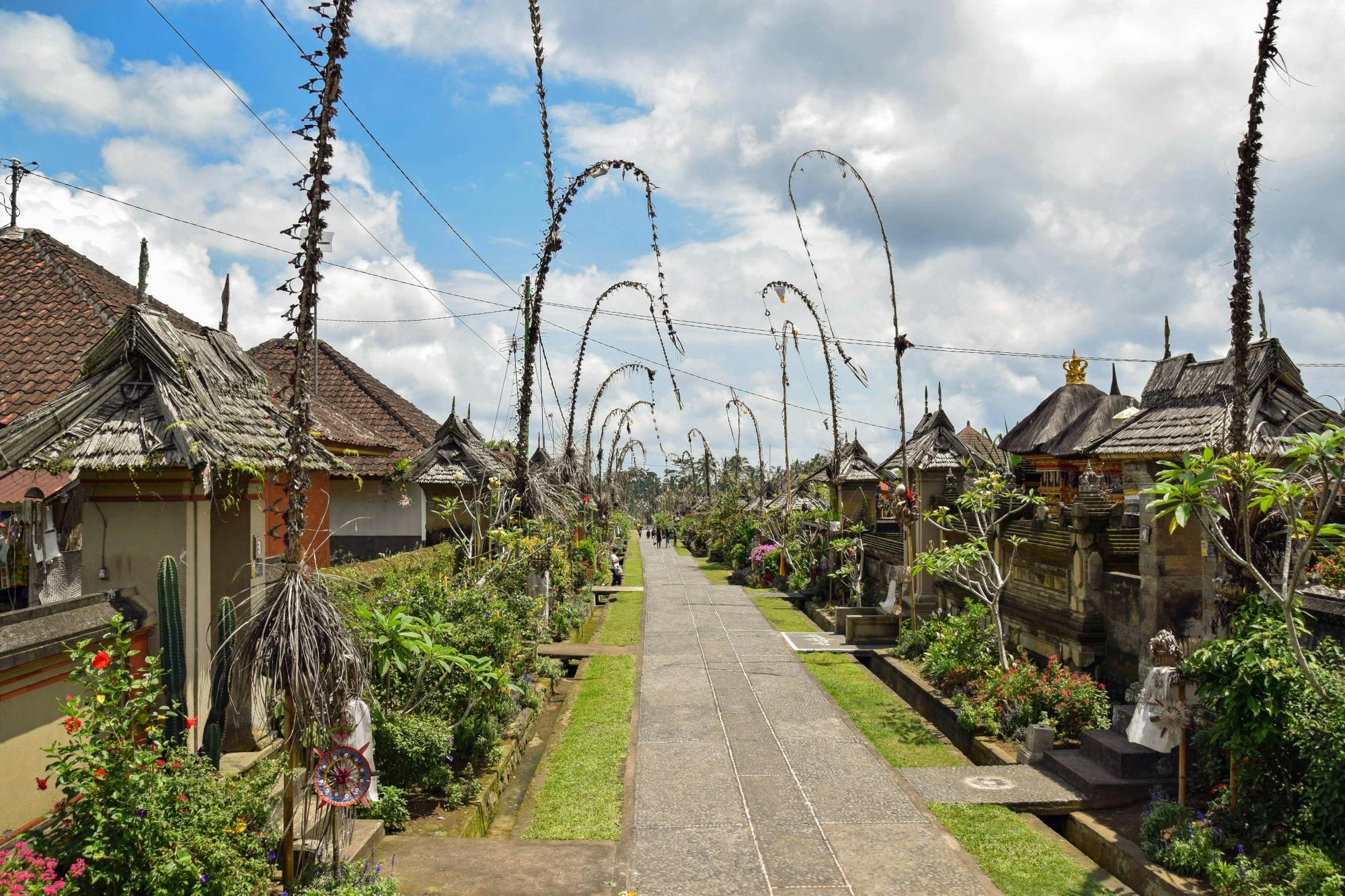 Full-day guided 4x4 tour in Bali