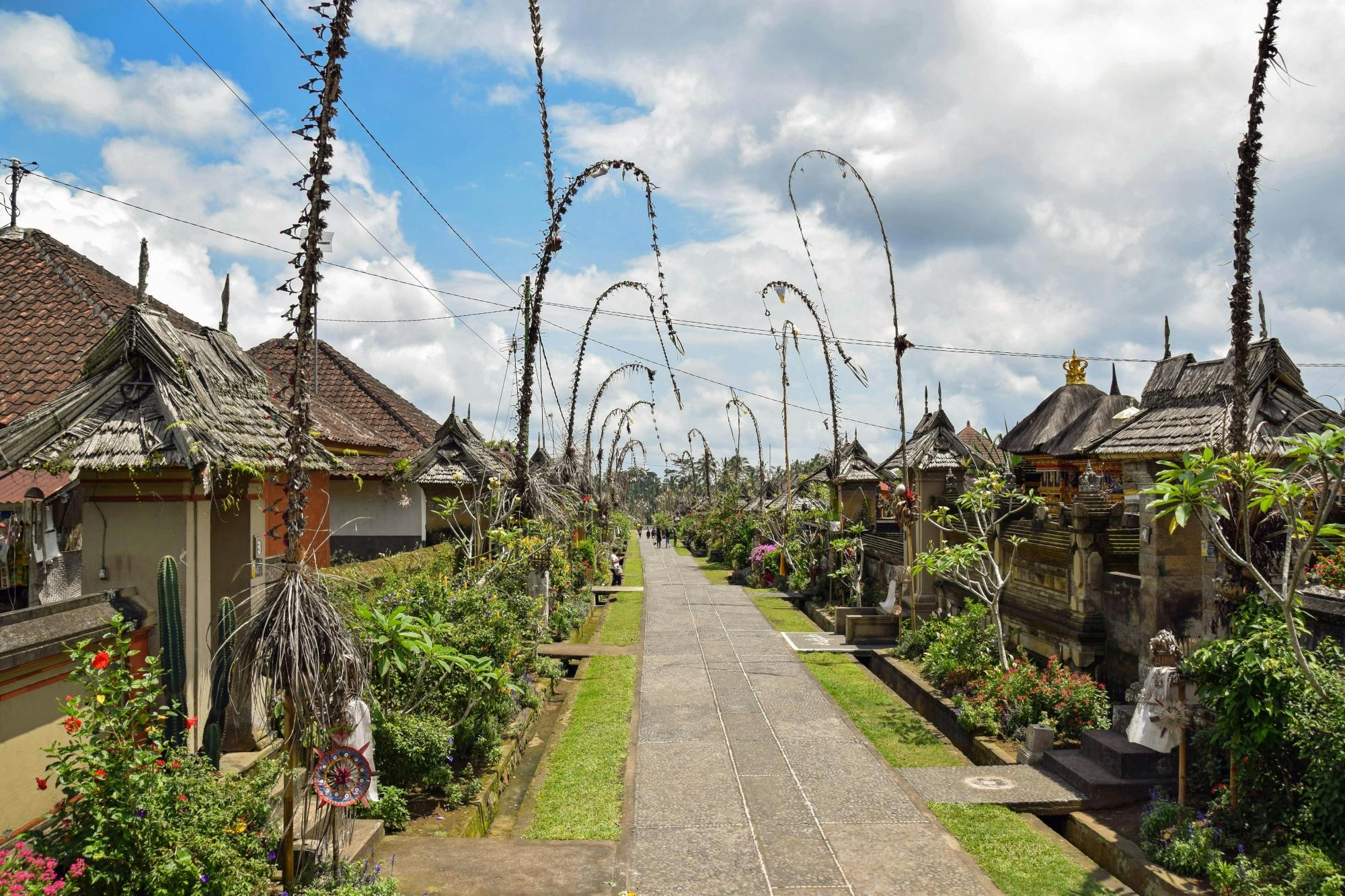 Full-day guided 4x4 tour in Bali