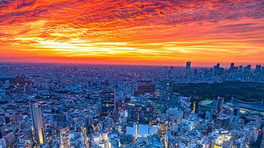 Shibuya Sky Observatory Entrance Ticket