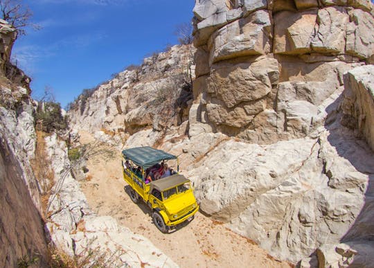 Excursión por el desierto de Baja California y excursión en camello