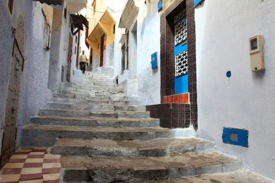 Tangier guided tour and lunch from the Costa del Sol