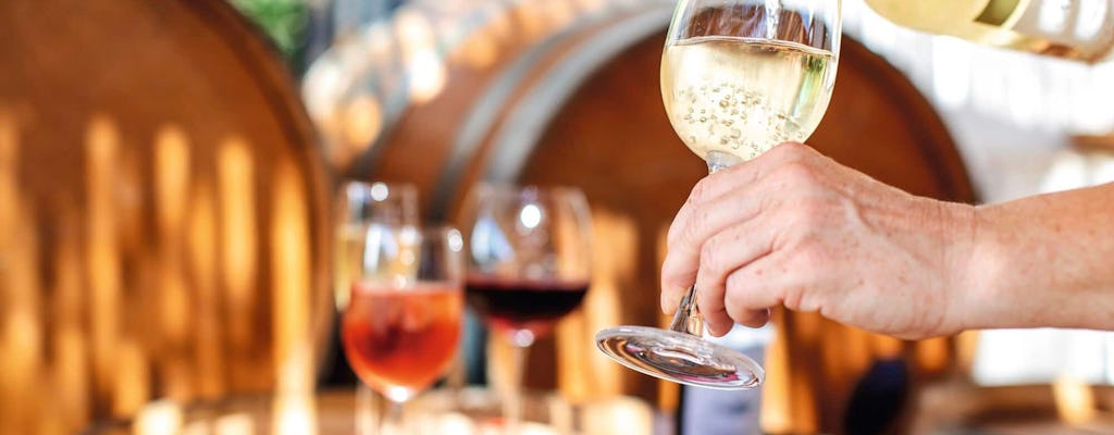 Degustación de vinos del Lago de Garda desde los hoteles del norte